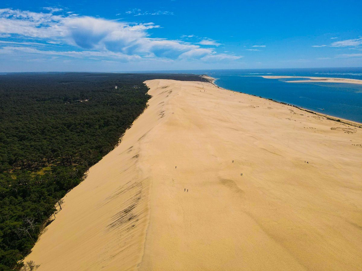 La dune du Pilat, grande pente de sable clair entre une forêt de pins sombre et l'océan