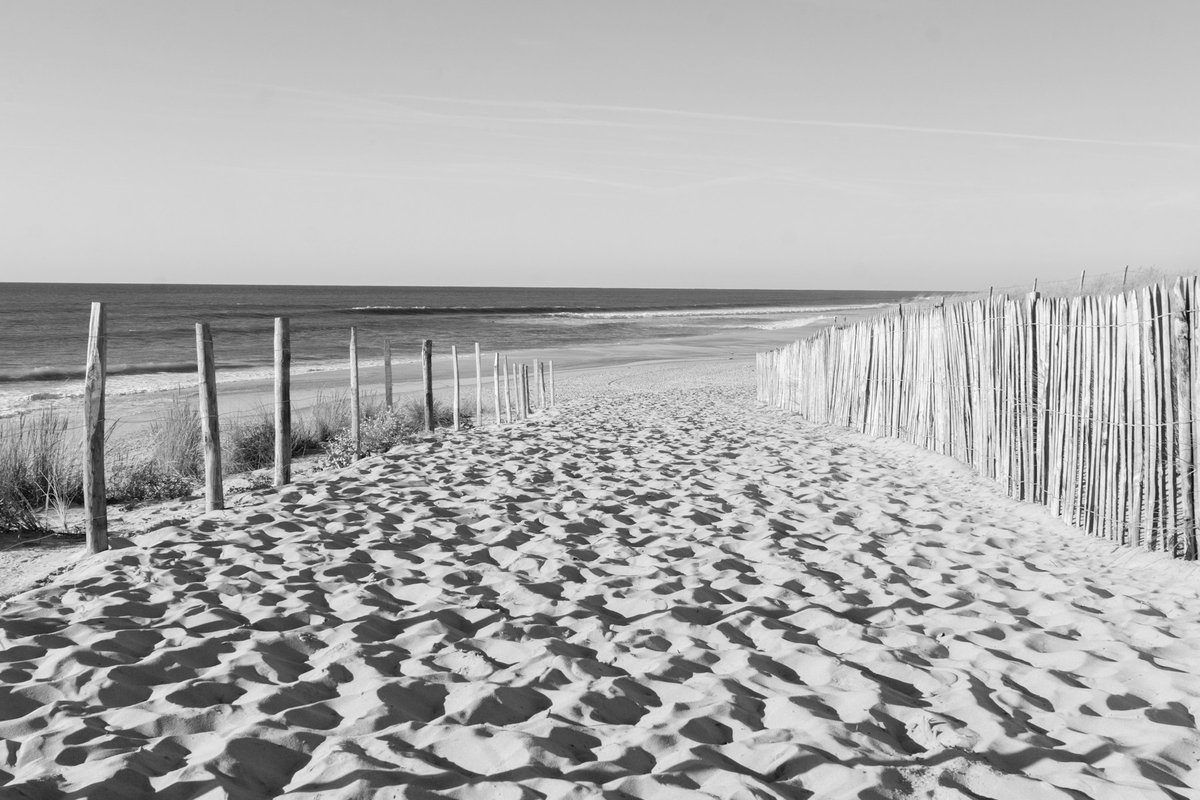 Photo en noir et blanc d'un chemin de sable qui passe entre deux rangées de ganivelles